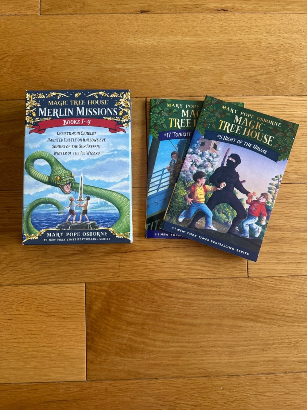 Magic Tree House Books Set - Picture 2 of 2